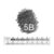 5B
