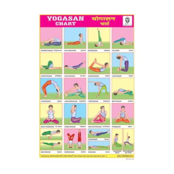 Cut & Paste Educational Chart Paper - Yogason
