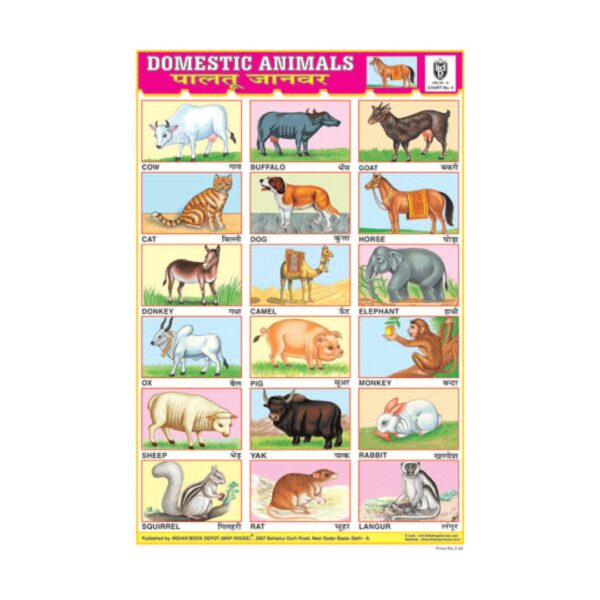 Domestic Animals - Cut & Paste Educational Chart Paper