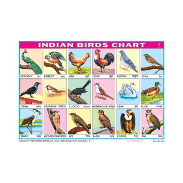Indian Birds – Cut & Paste Educational Chart Paper