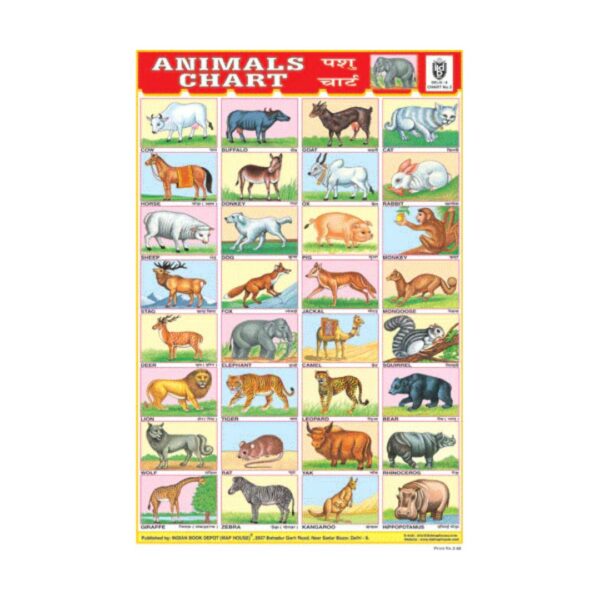 Animals - Cut & Paste Educational Chart Paper