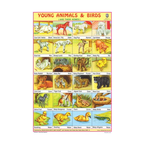 Young Animals & Birds – Cut & Paste Educational Chart Paper