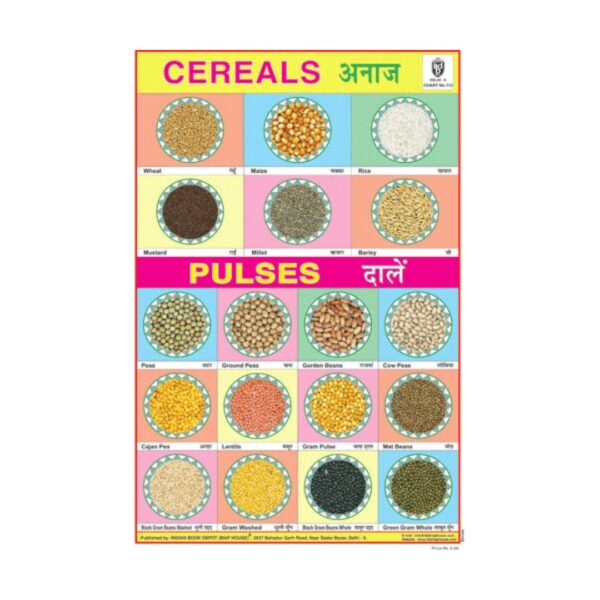 Cereals & Pulses – Cut & Paste Educational Chart Paper
