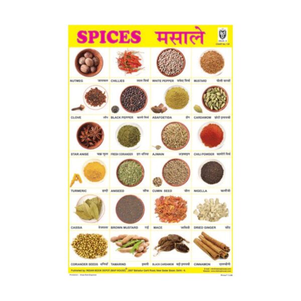 Spices – Cut & Paste Educational Chart Paper