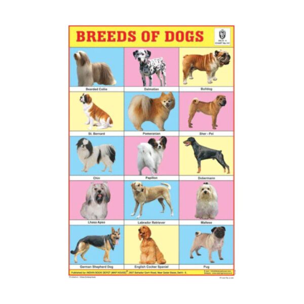 Breeds of Dogs – Cut & Paste Educational Chart Paper