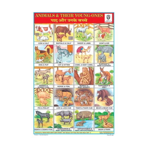 Animals & Their Young-Ones – Cut & Paste Educational Chart Paper