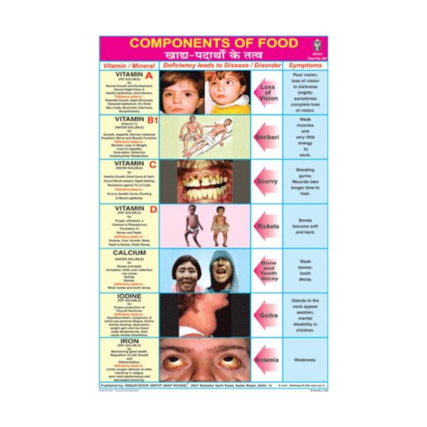 Components of Food – Cut & Paste Educational Chart Paper