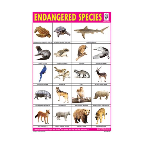 Endangered Species – Cut & Paste Educational Chart Paper