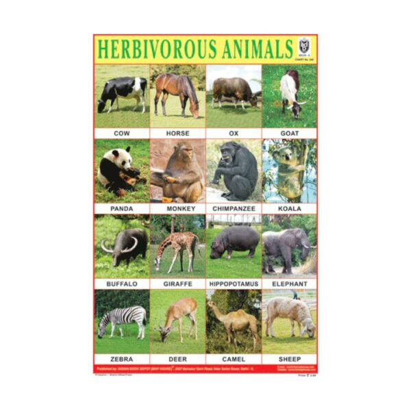 Herbivorous Animals – Cut & Paste Educational Chart Paper