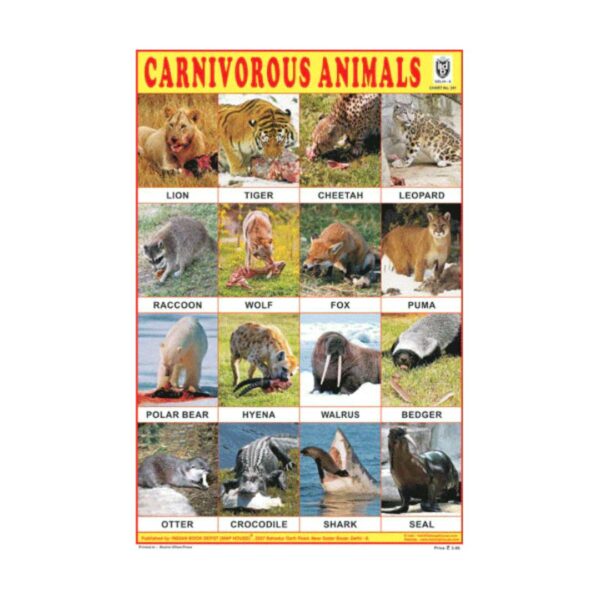 Carnivorous Animals – Cut & Paste Educational Chart Paper