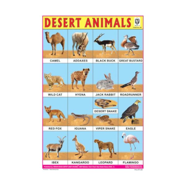 Desert Animals – Cut & Paste Educational Chart Paper