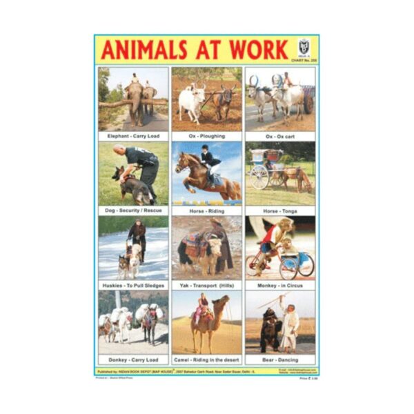 Animals at Work – Cut & Paste Educational Chart Paper