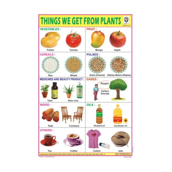 Things We get from Plants – Cut & Paste Educational Chart Paper