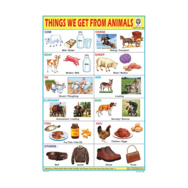 Things We get from Animals – Cut & Paste Educational Chart Paper