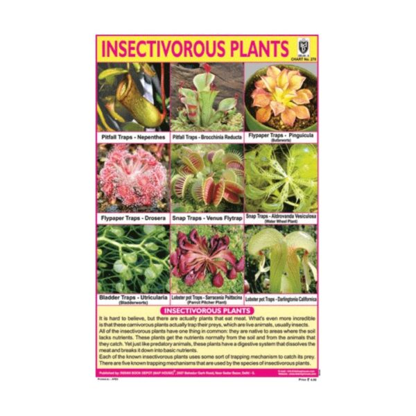 Insectivorous Plants – Cut & Paste Educational Chart Paper
