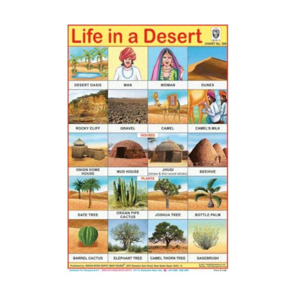 Life in a Desert – Cut & Paste Educational Chart Paper