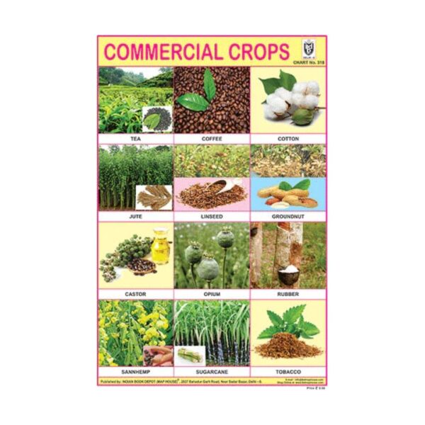 Commercial Crops – Cut & Paste Educational Chart Paper