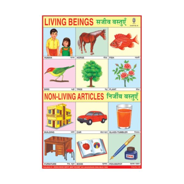 Living & Non-Living Articles – Cut & Paste Educational Chart Paper