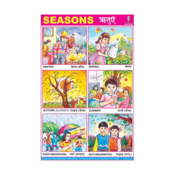 Seasons  – Cut & Paste Educational Chart Paper