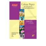A stack of Neelgagan A4 Colour Paper in various shades.