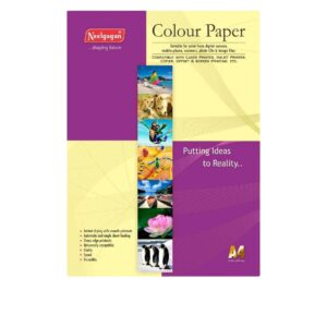 A stack of Neelgagan A4 Colour Paper in various shades.