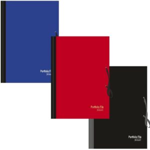 A Neelgagan A2 Portfolio File with its elastic band closed.