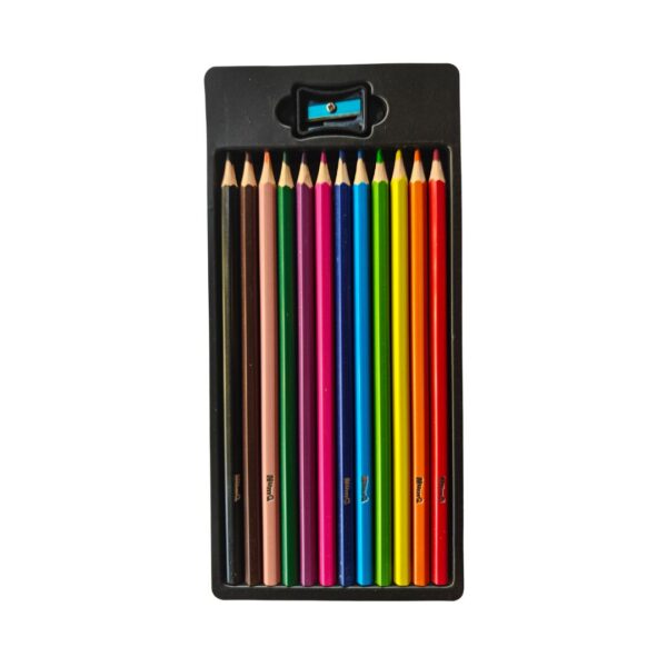 The 12 shades laid out in a row