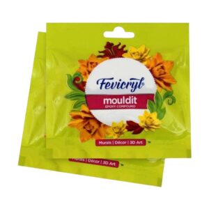 Fevicryl Mouldit 50 gm kit showing the resin and hardener packs.