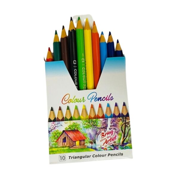 The 10 vibrant shades laid out on a flat surface to show the anti-roll design.